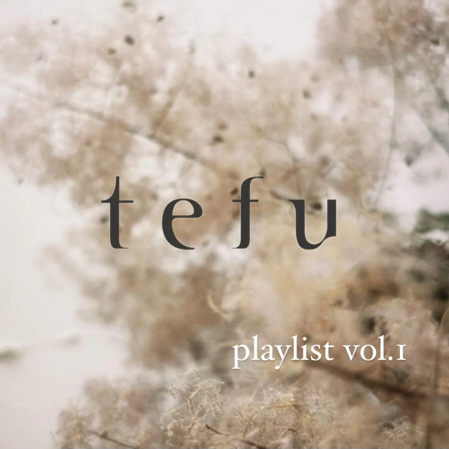 tefu / vol.1