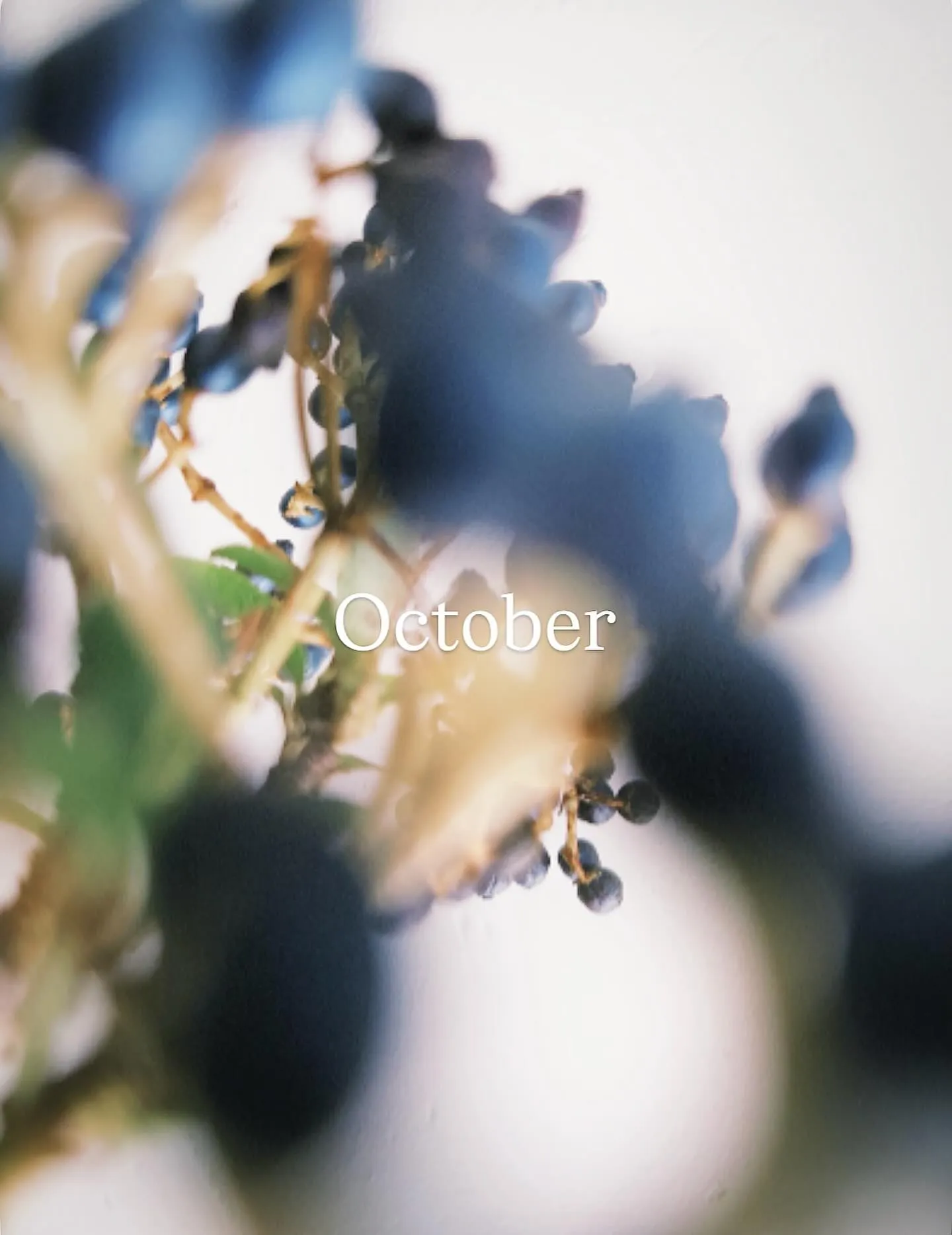 10月のお休みのご案内です