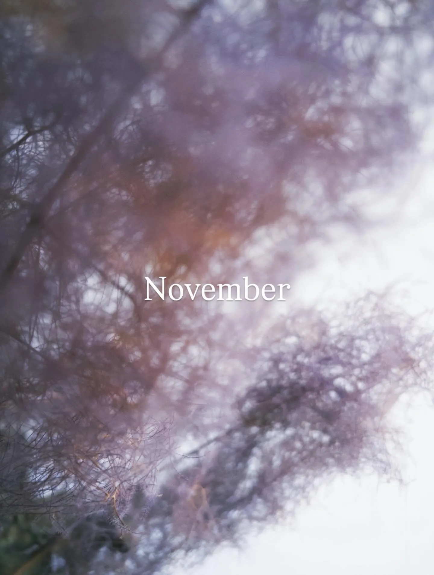 11月のお休みのご案内です！